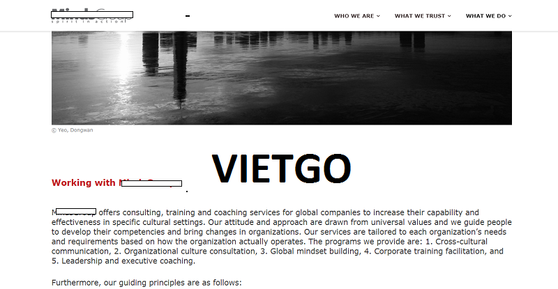 Gỗ teak xẻ Vietgo